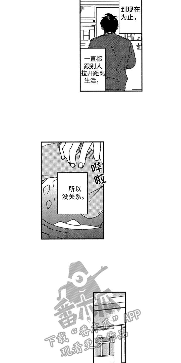 第8章：错觉