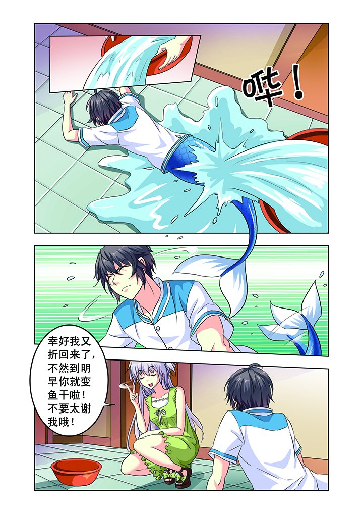 第11章：