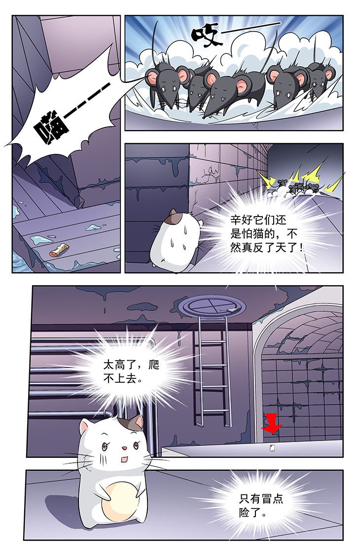 第113章：
