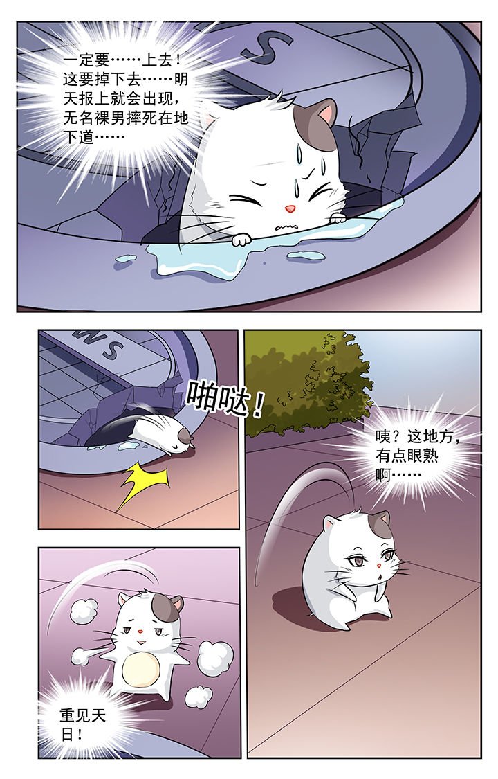 第113章：