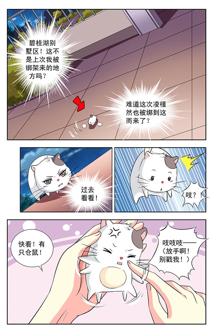 第113章：