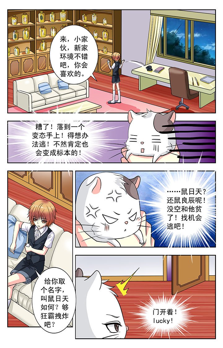 第114章：