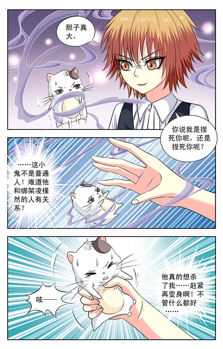 第114章：
