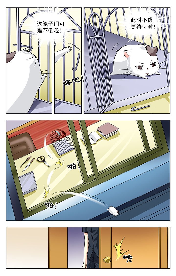 第114章：