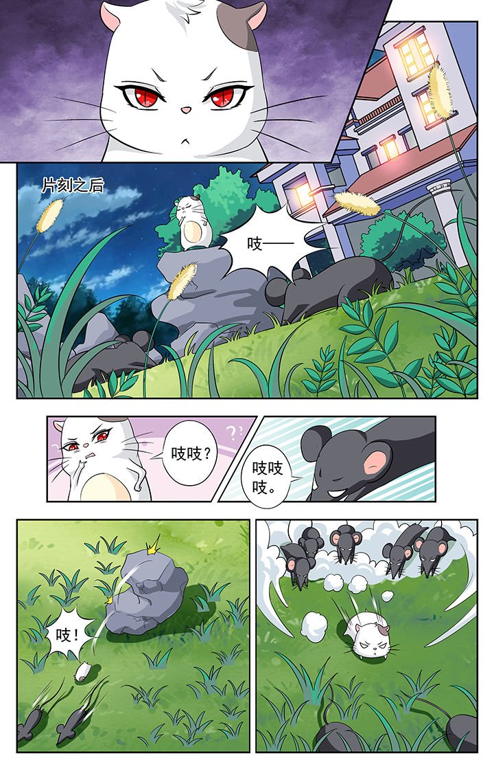 第115章：