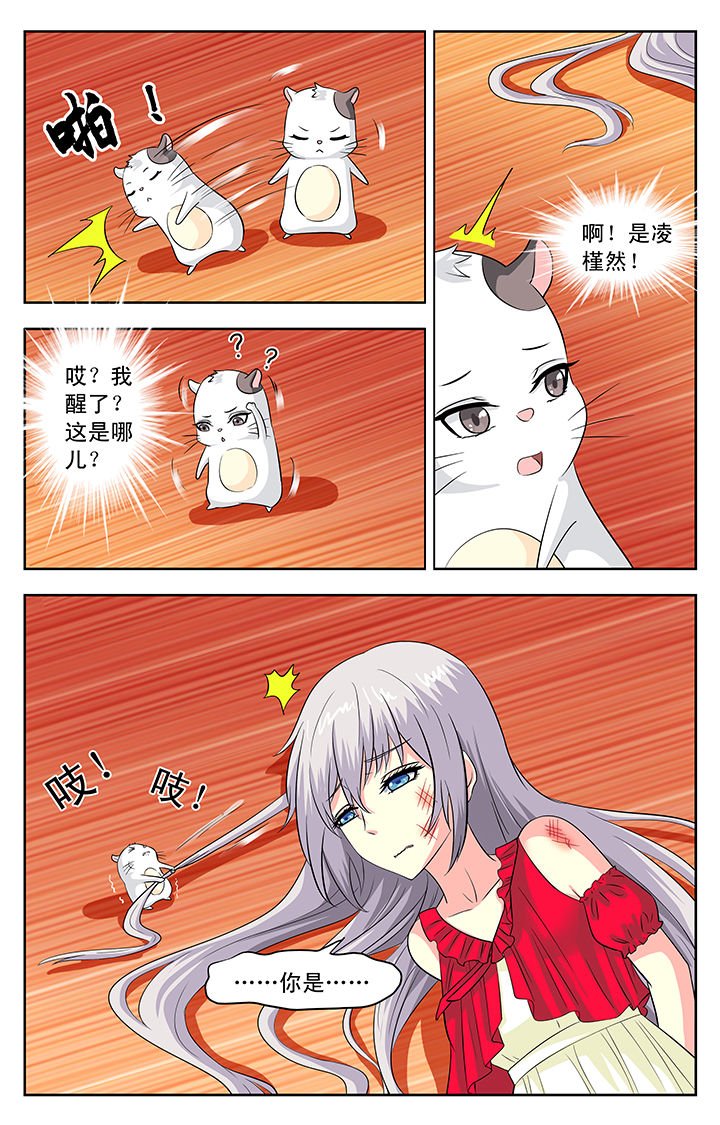 第116章：