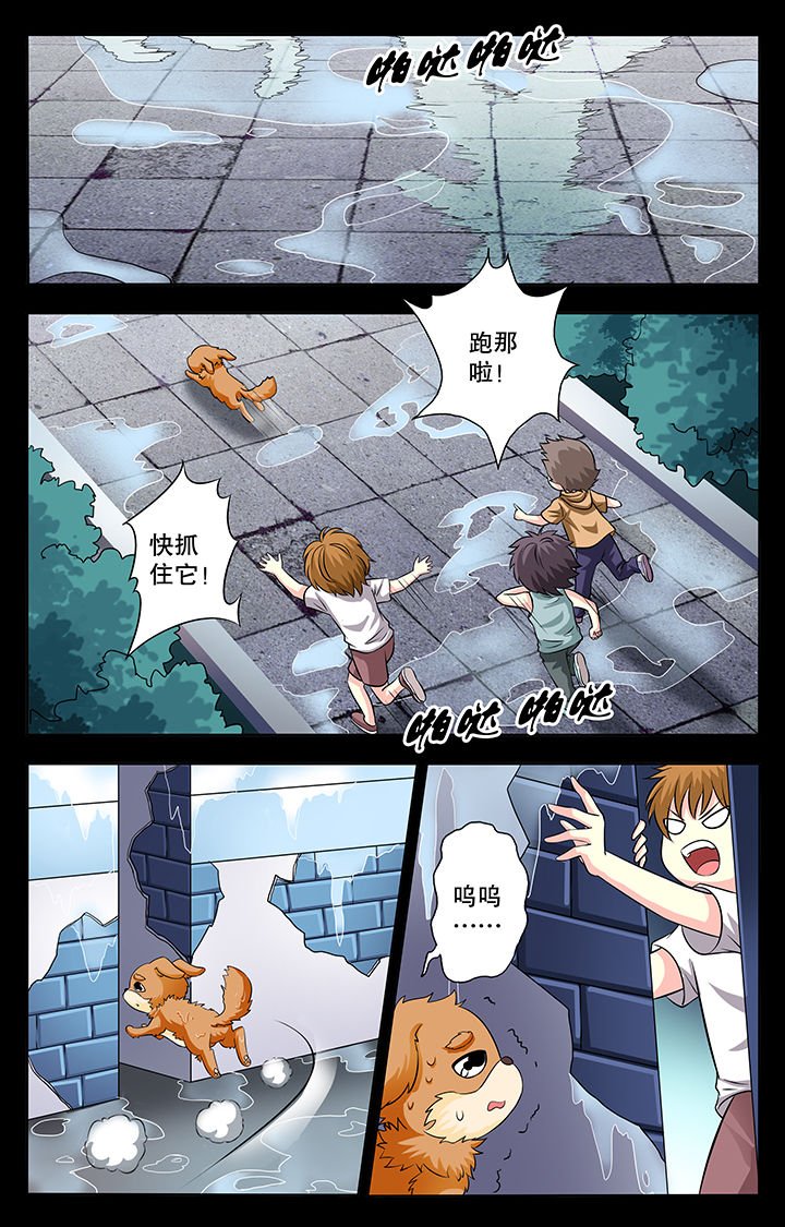 第14章：