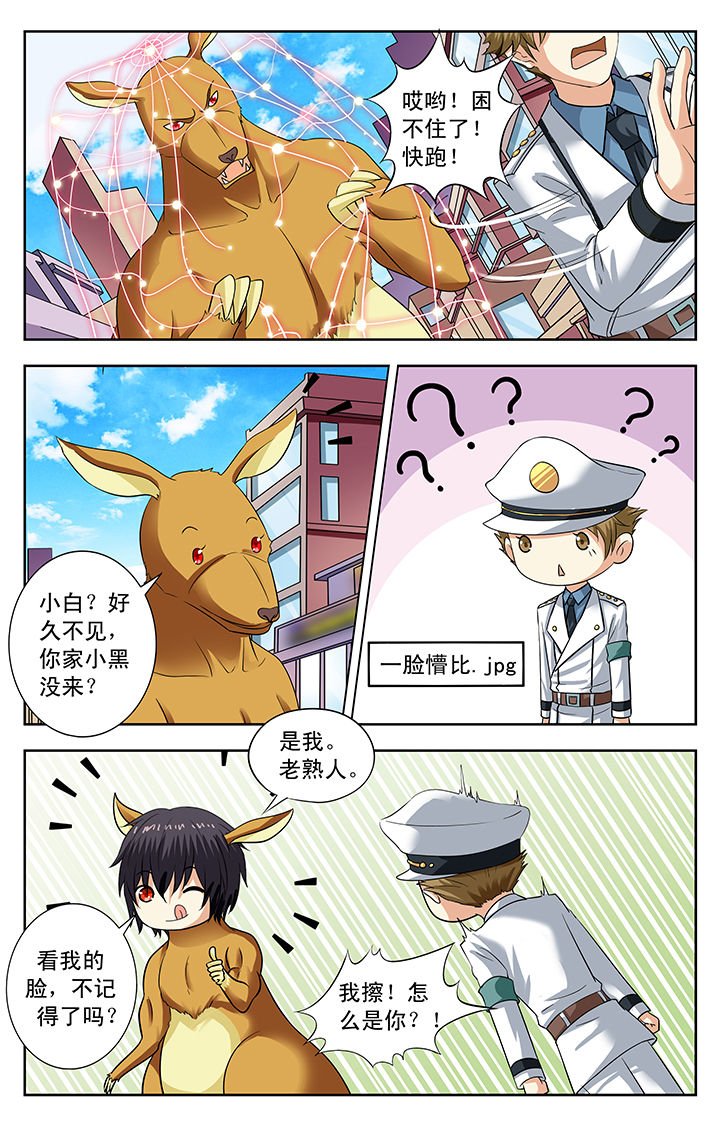 第162章：