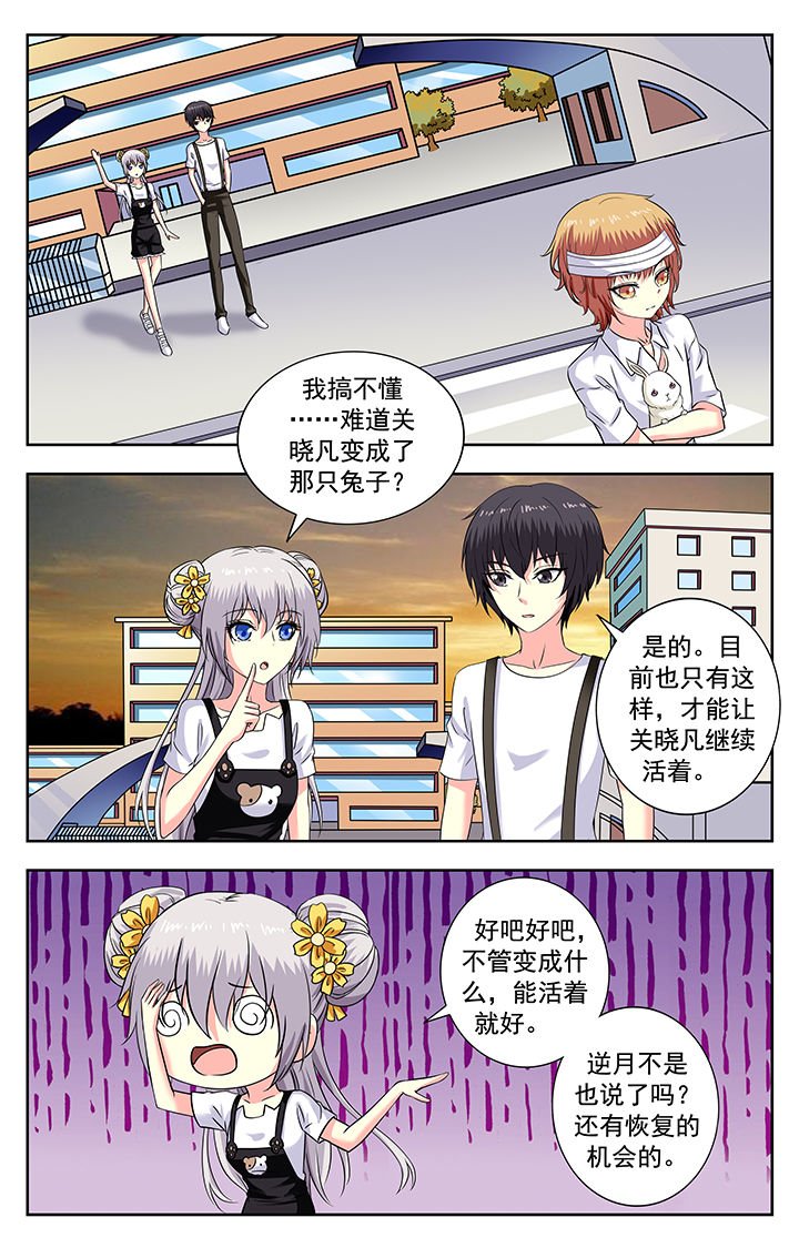 第176章：