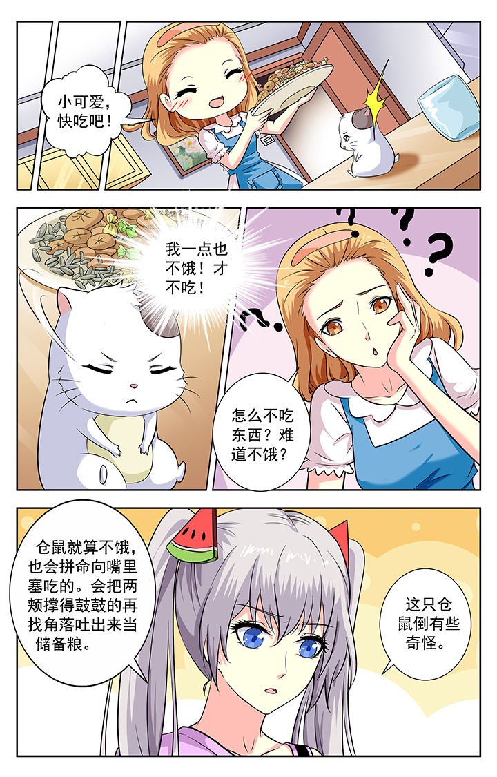 第197章：