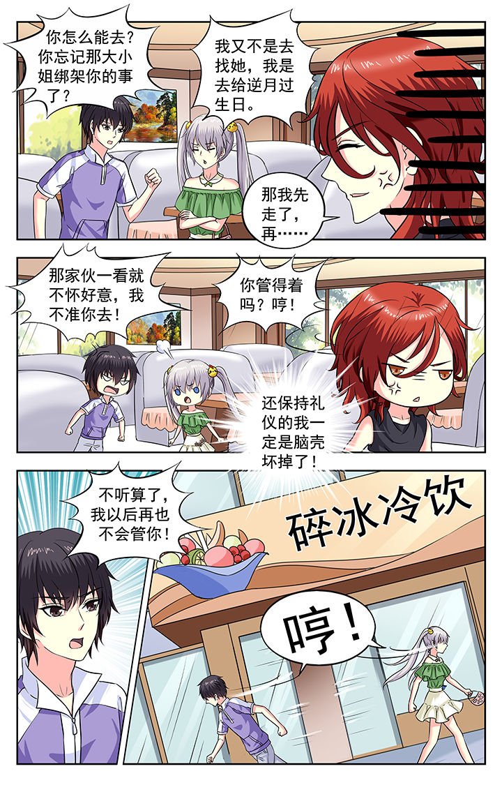 第204章：