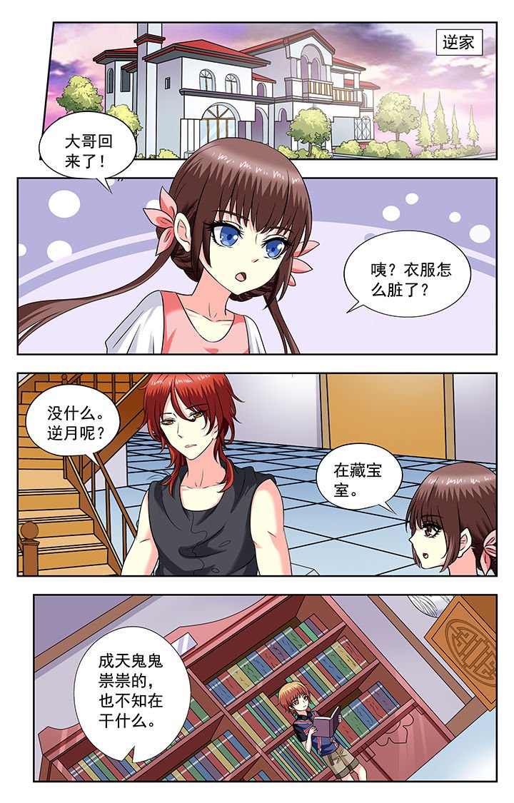 第204章：