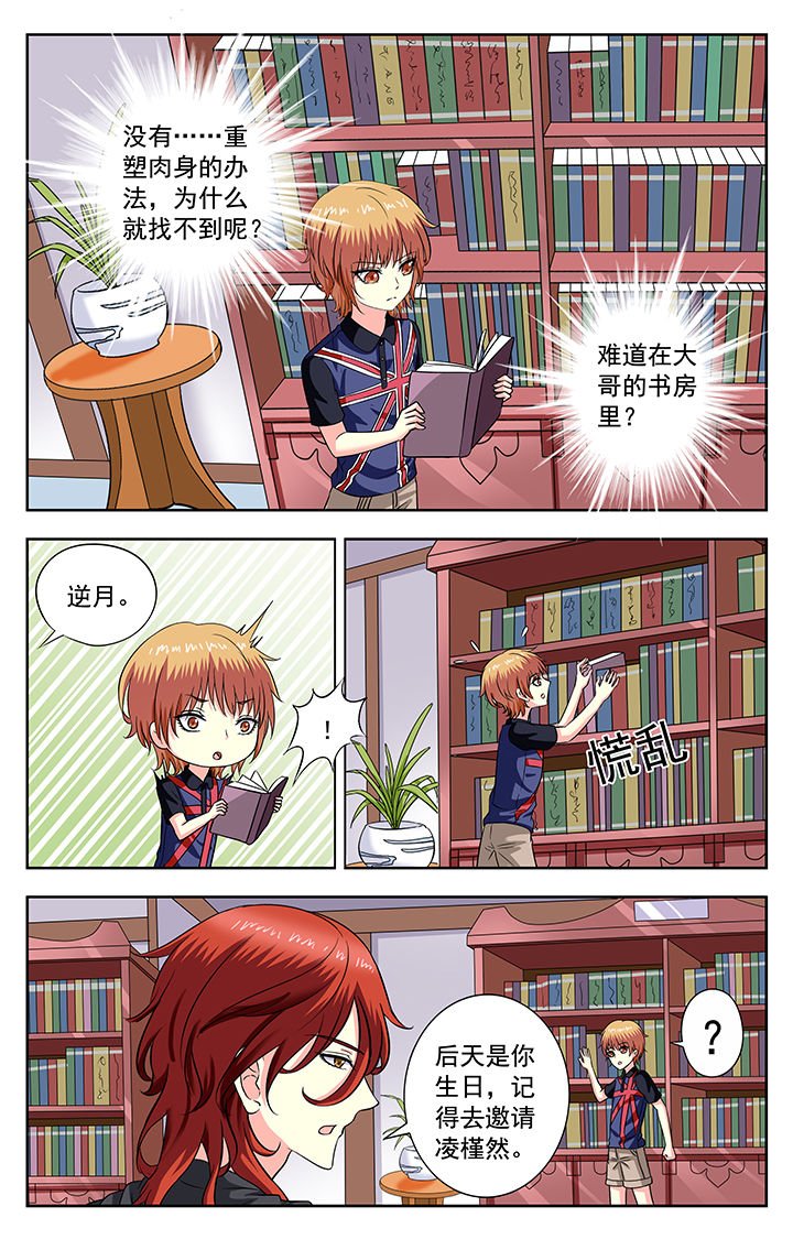 第204章：