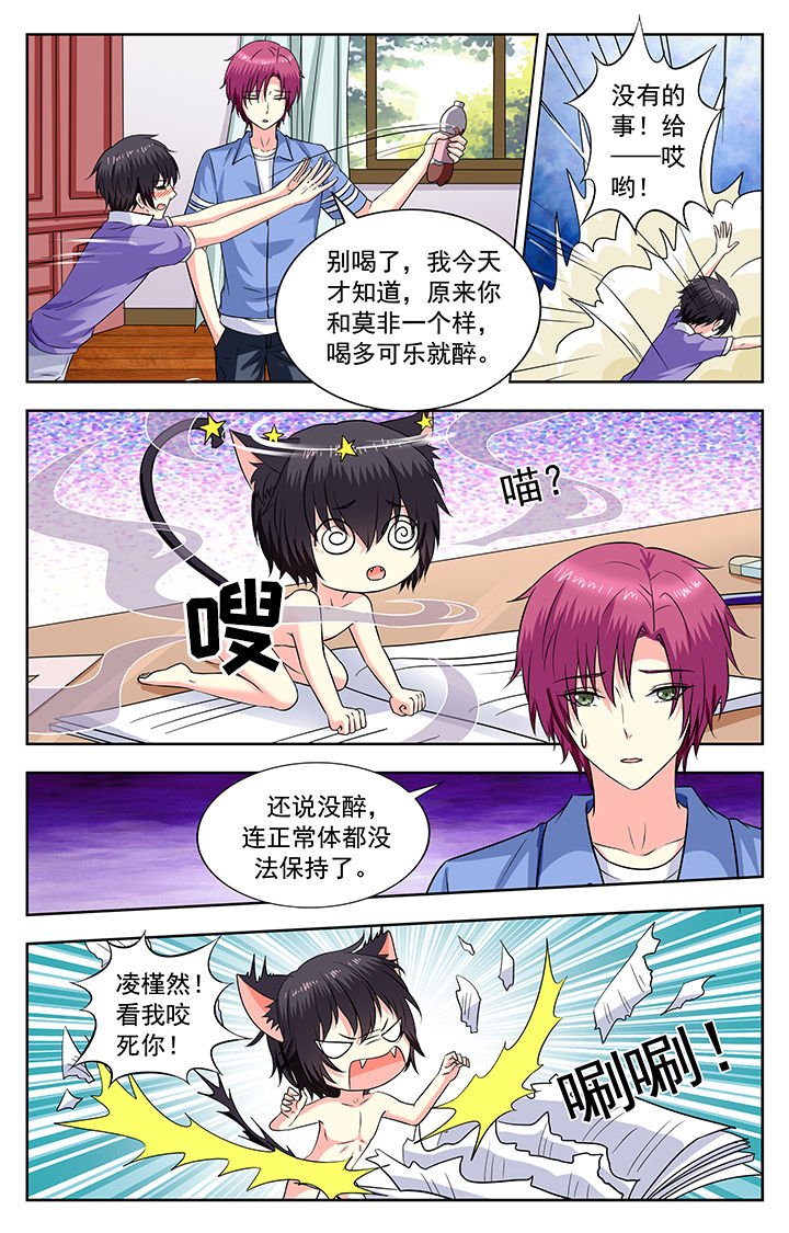 第205章：