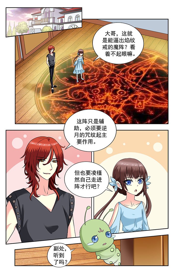 第206章：