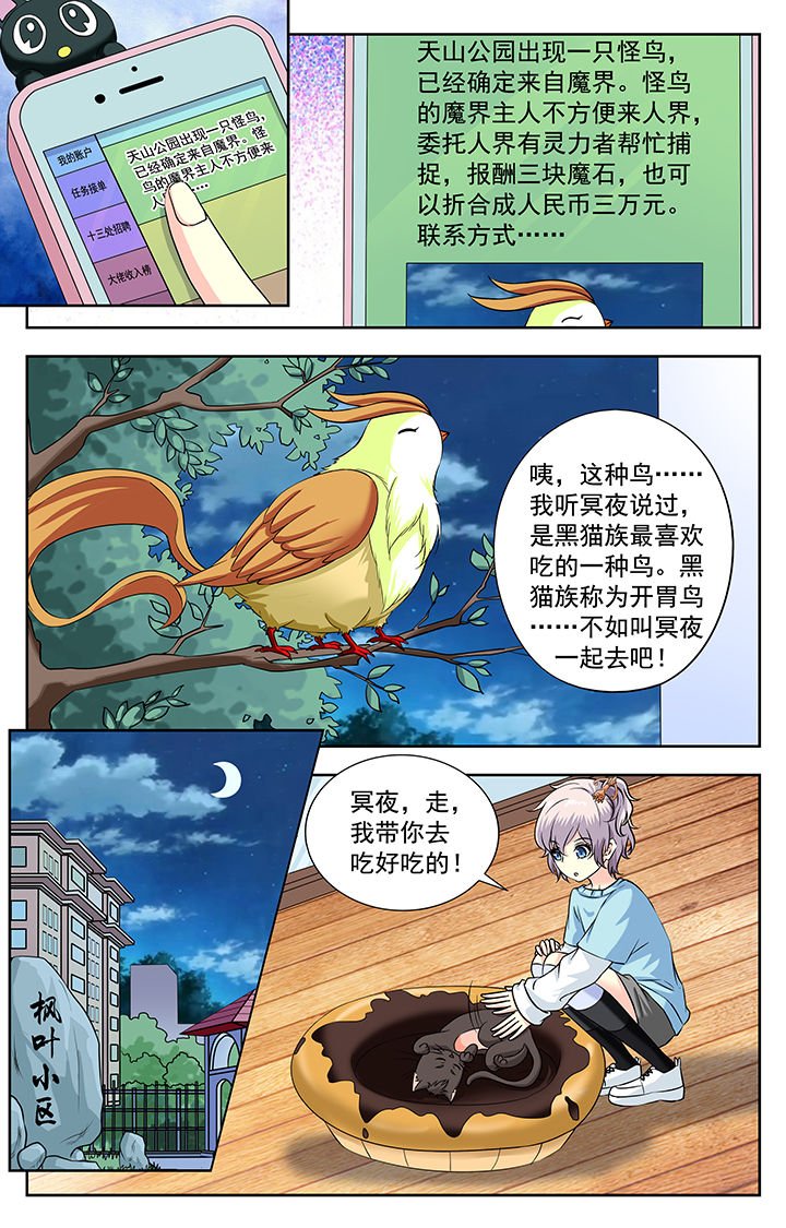 第223章：