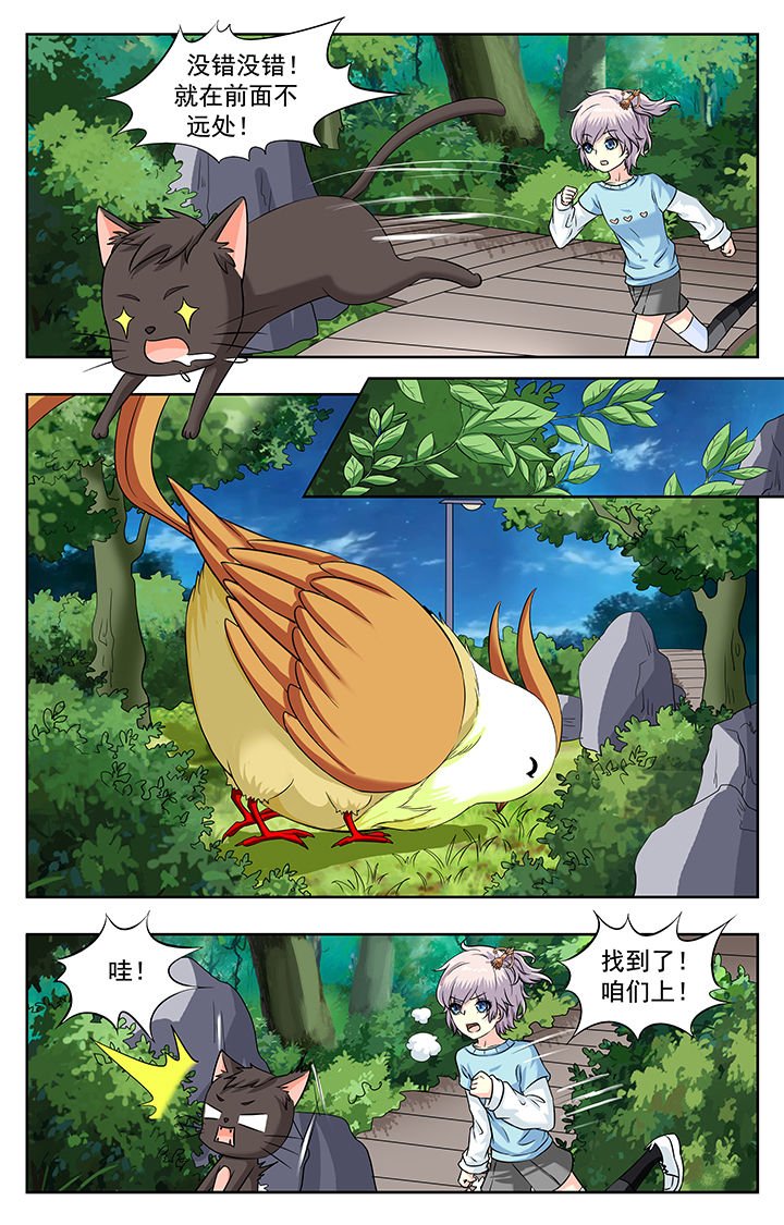 第223章：