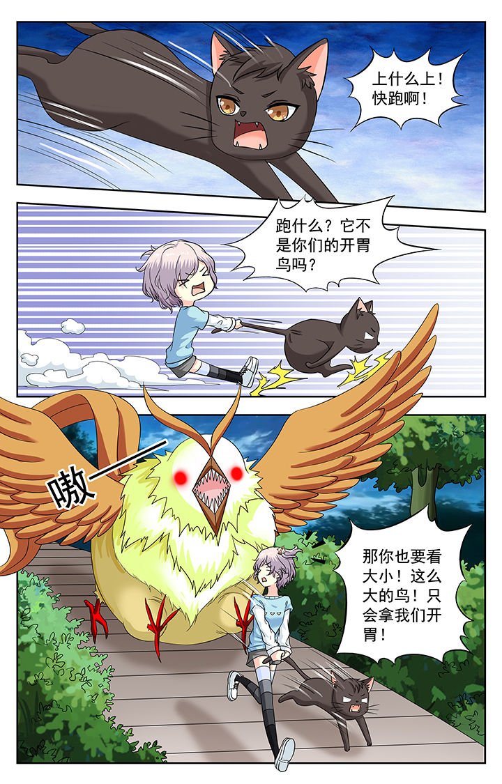 第223章：