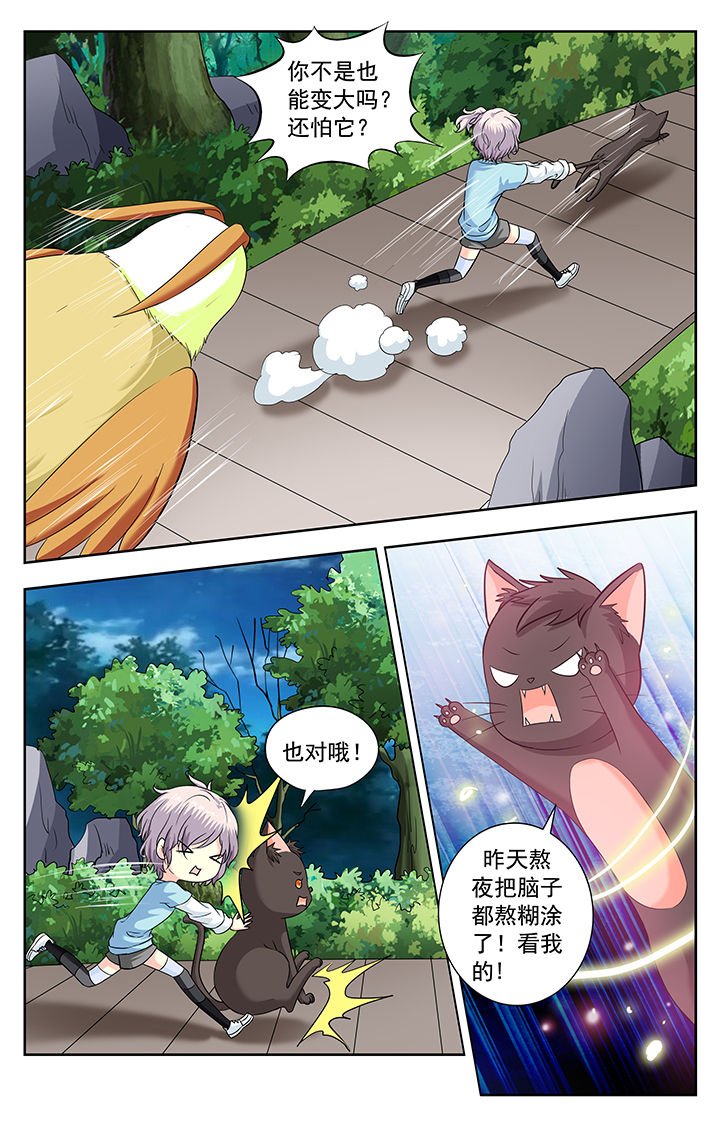 第223章：