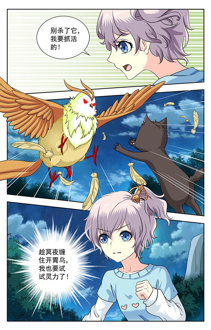 第223章：