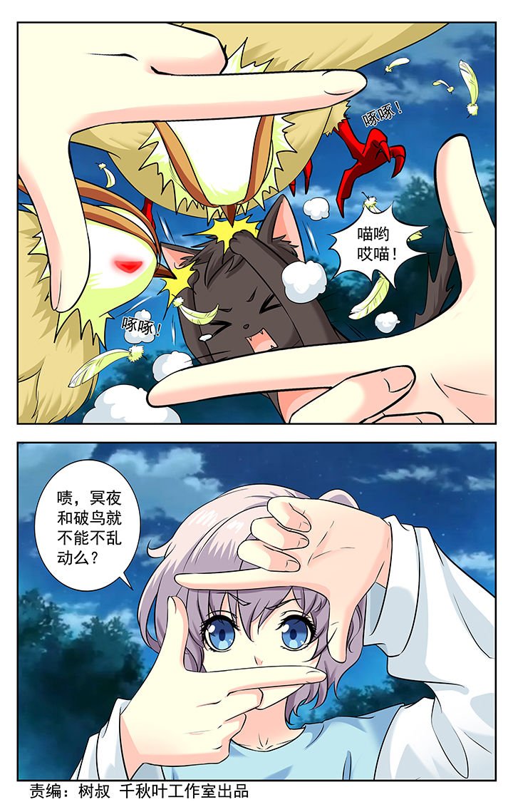 第224章：
