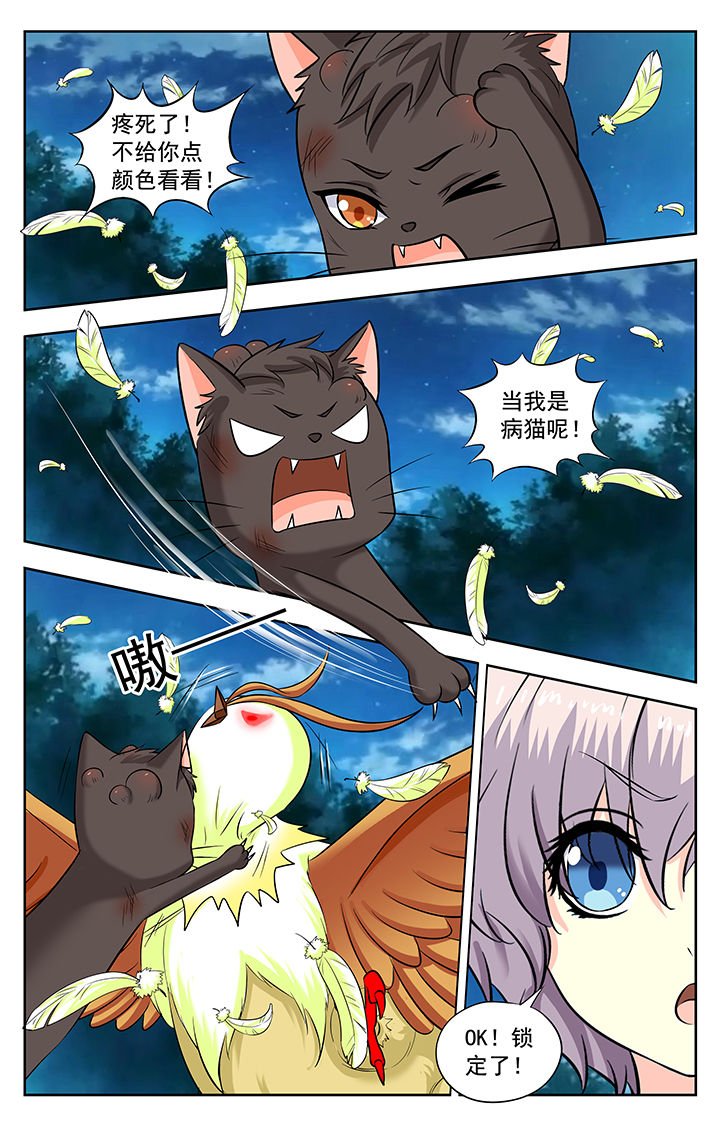 第224章：