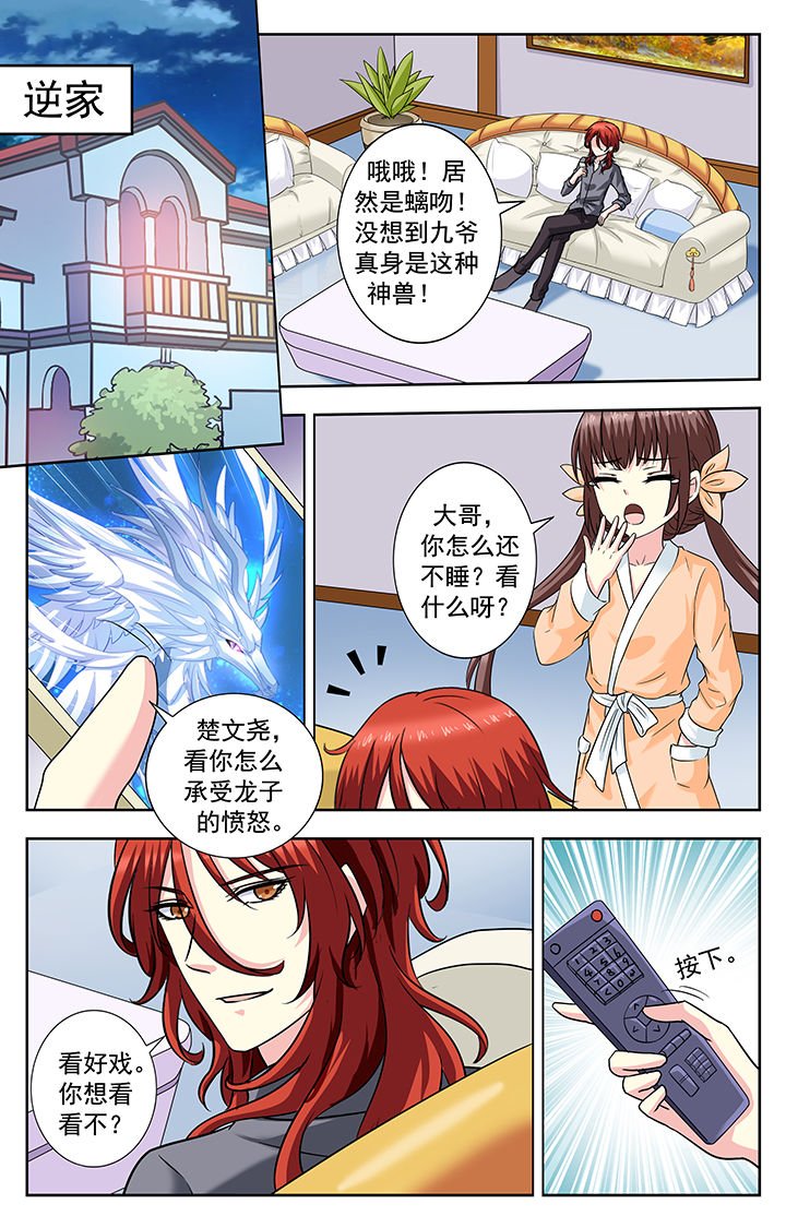 第232章：