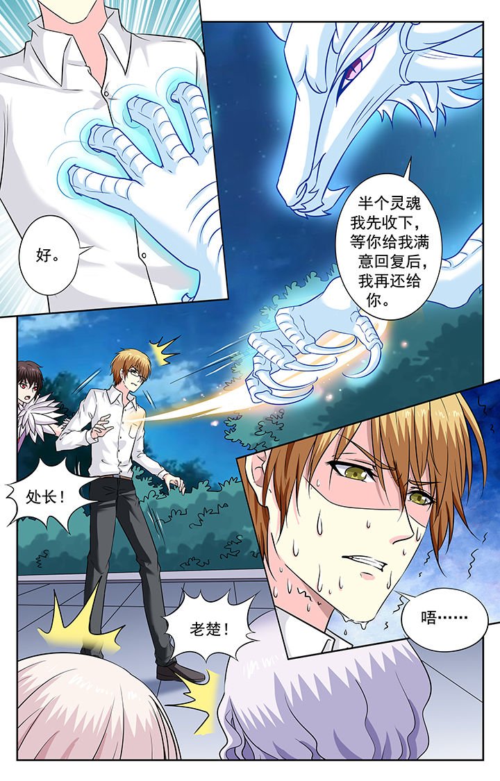 第233章：