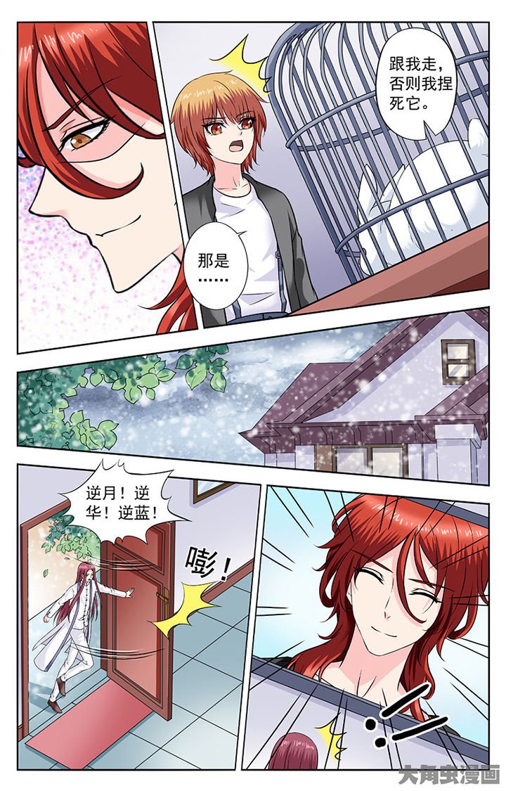 第282章：