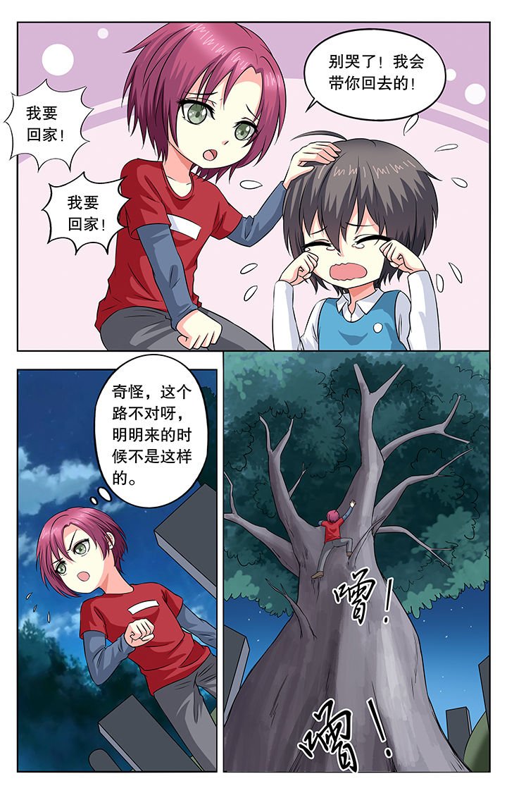 第41章：