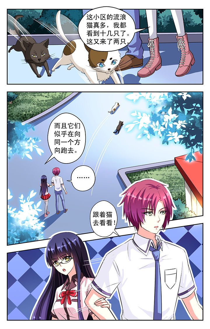 第53章：