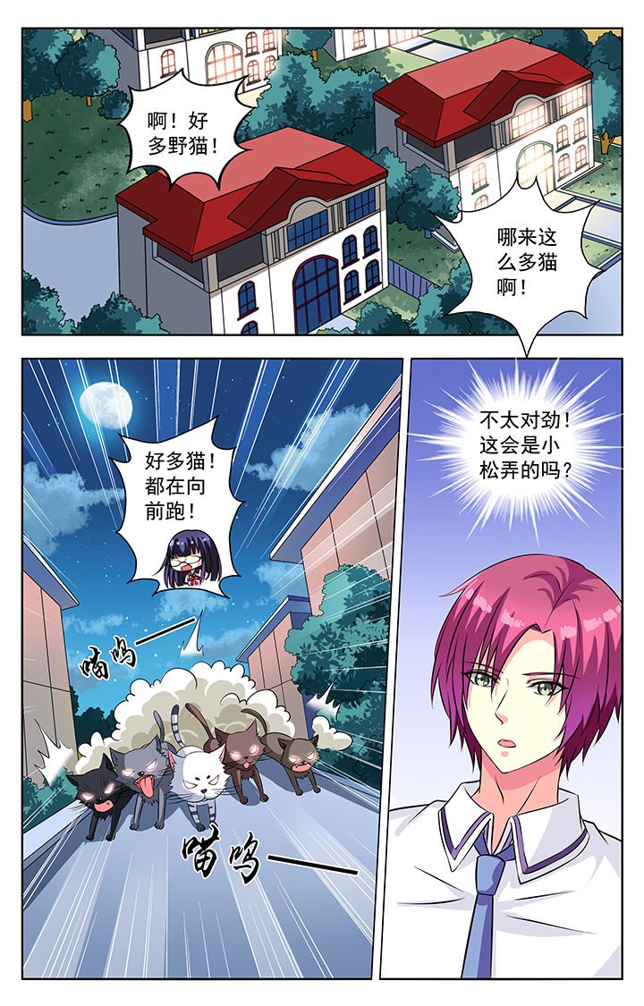 第54章：