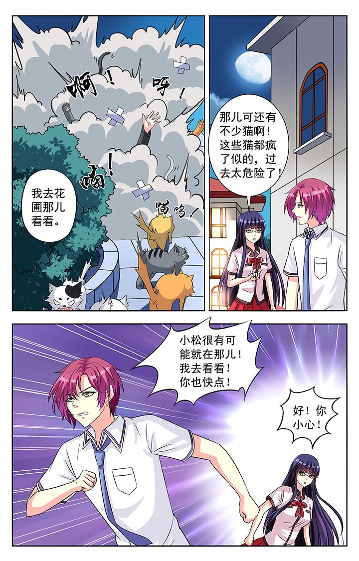第54章：