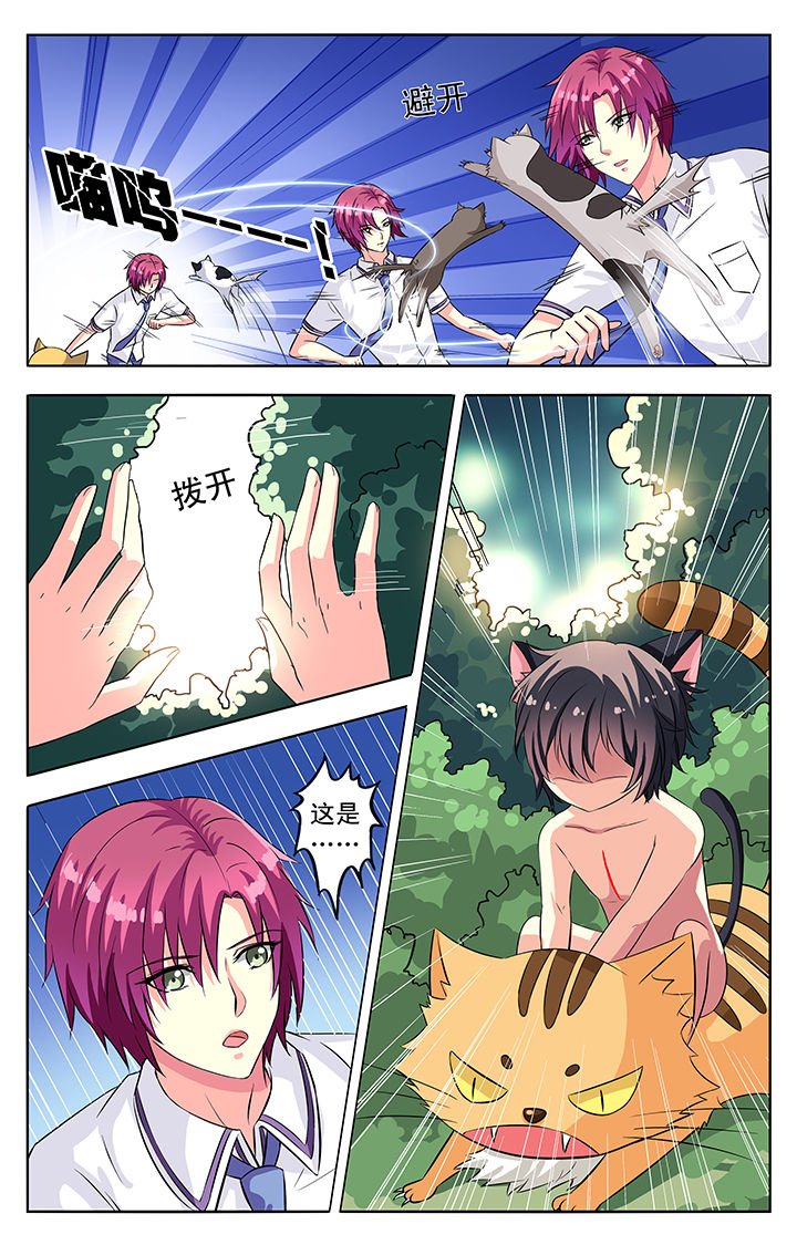 第54章：