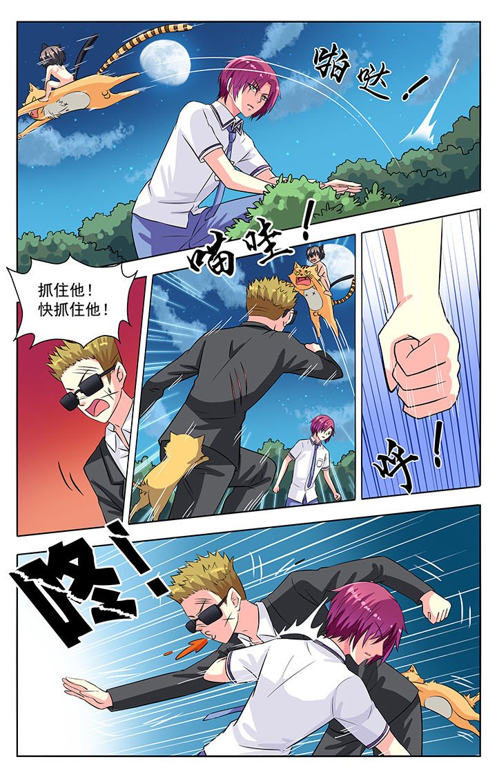 第54章：