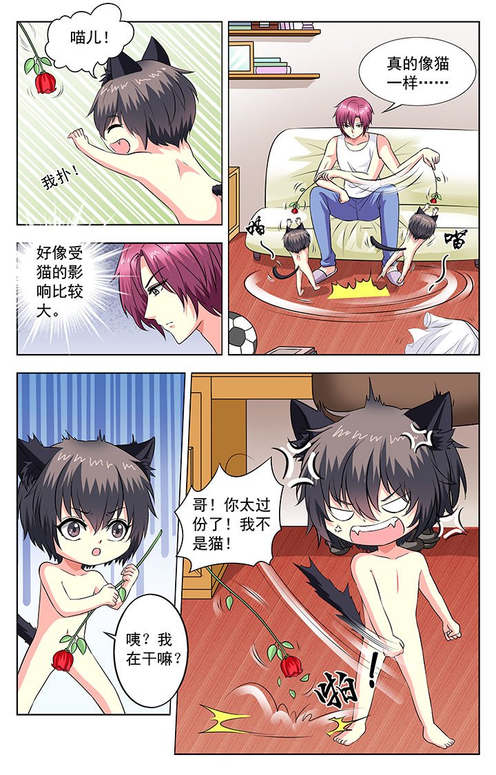 第58章：