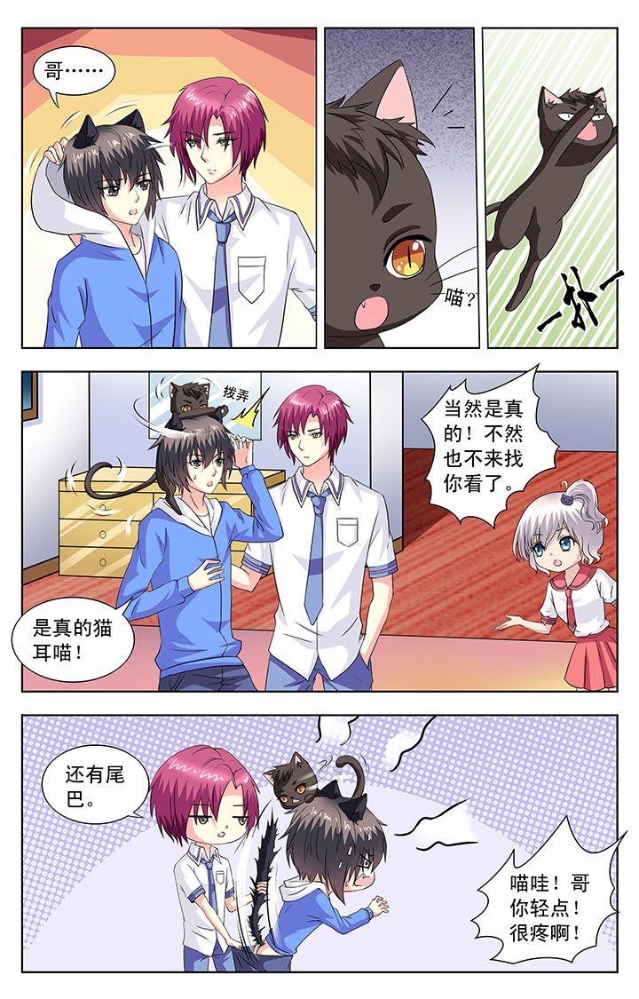第67章：