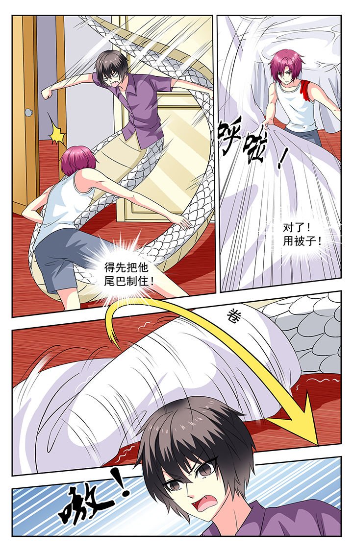 第84章：