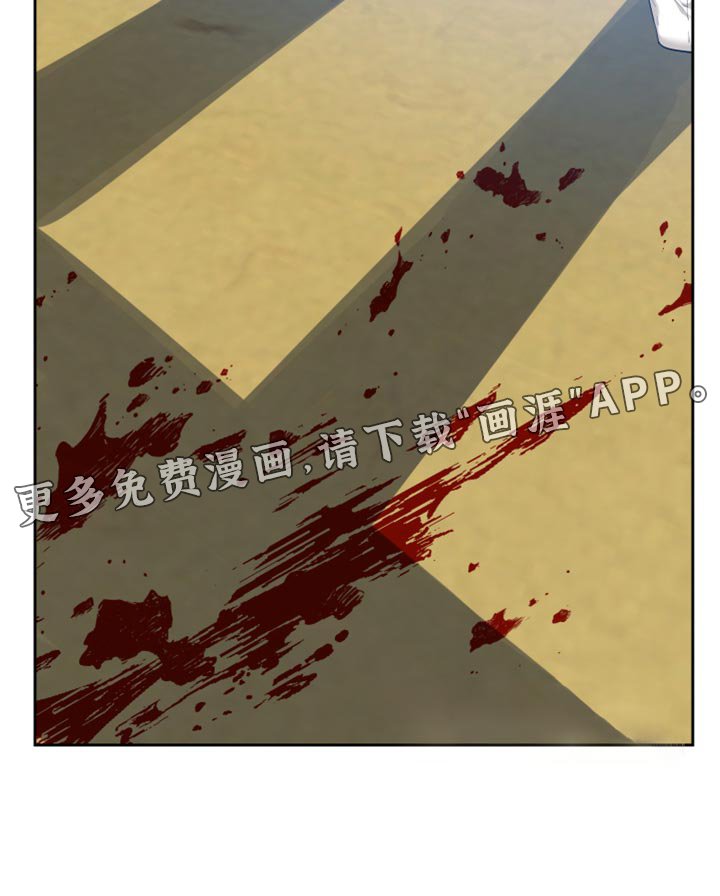 第119章：刺杀