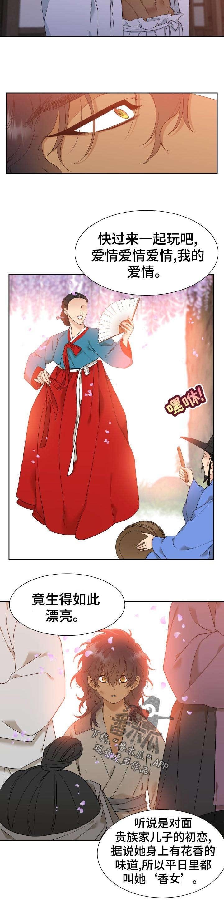 第13章：这是为何