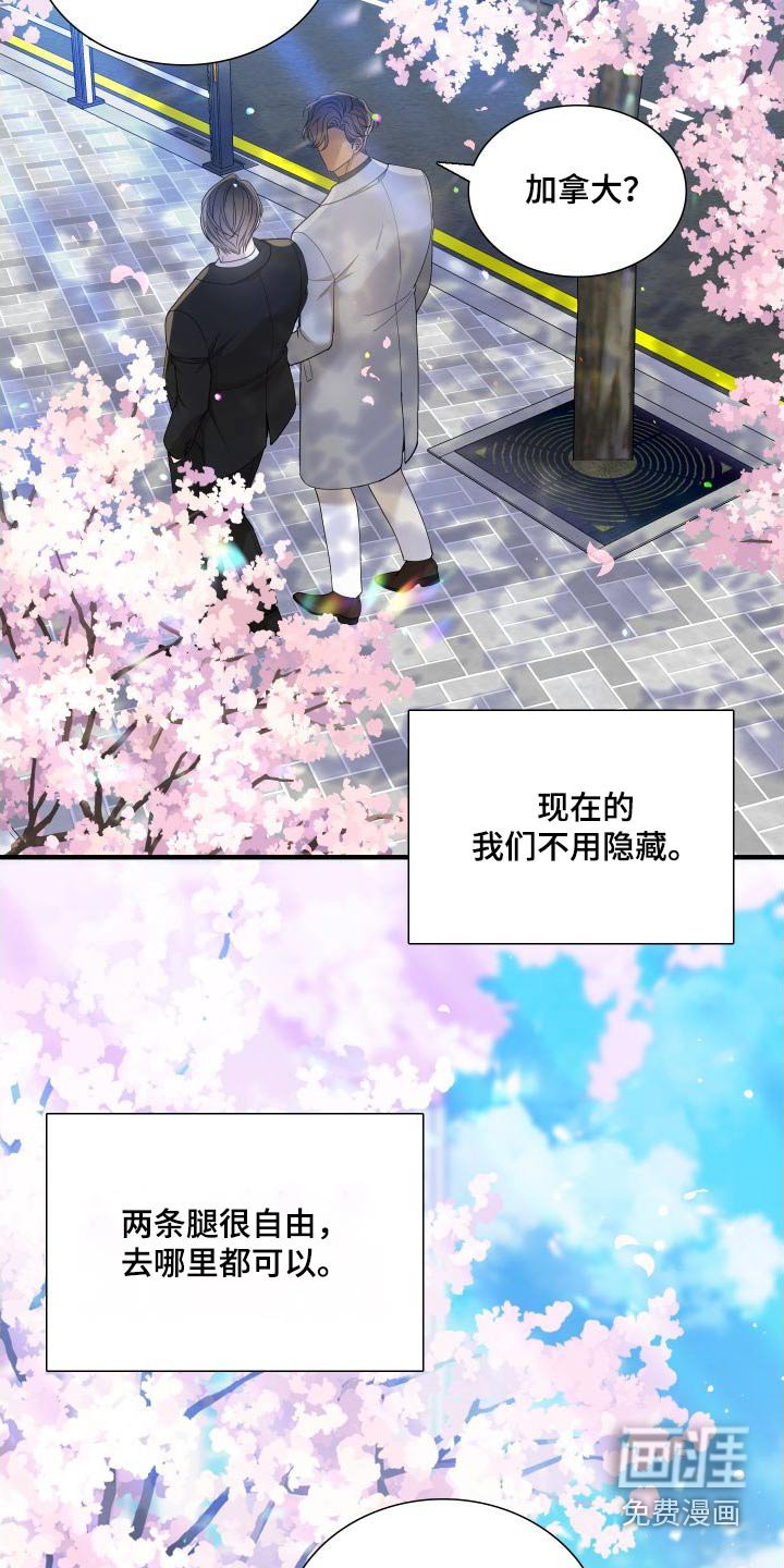 第139章：【番外】不用隐藏 