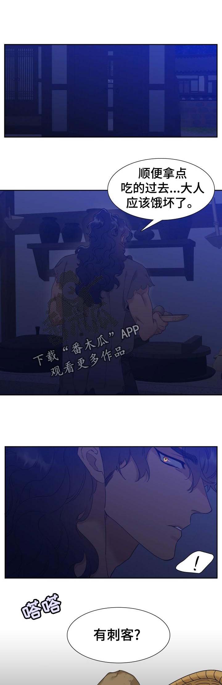 第16章：刺客