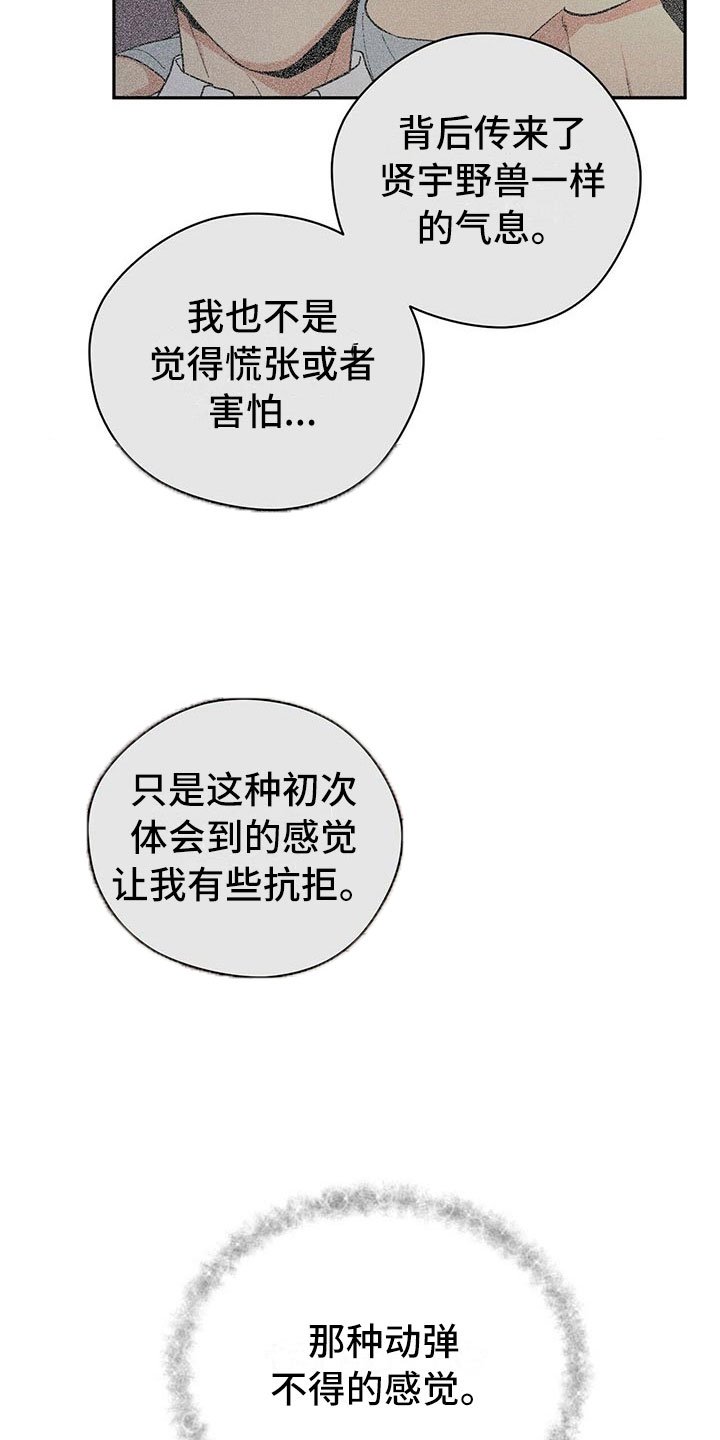 第3章：野兽派