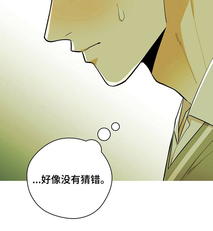 第37章：没猜错