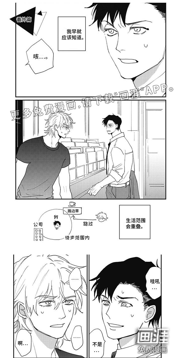 第18章：番外（完结）