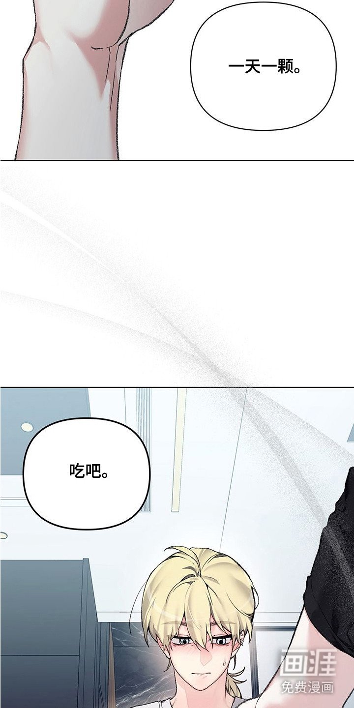 第10章：药丸