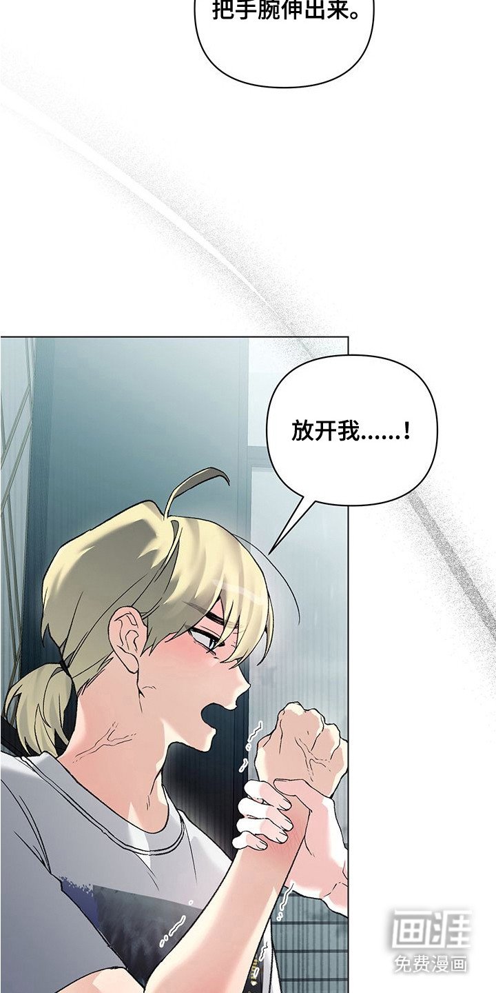 第8章：手腕