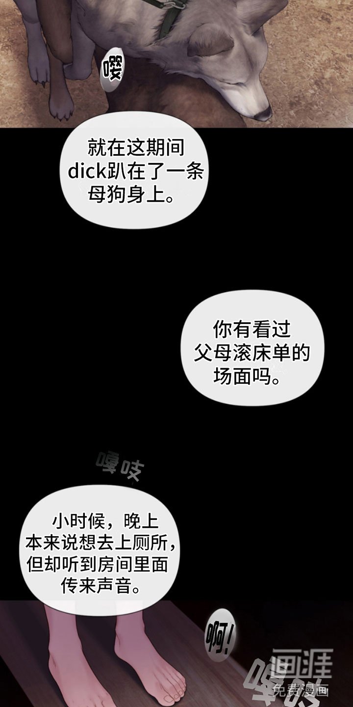 第16章：袭击