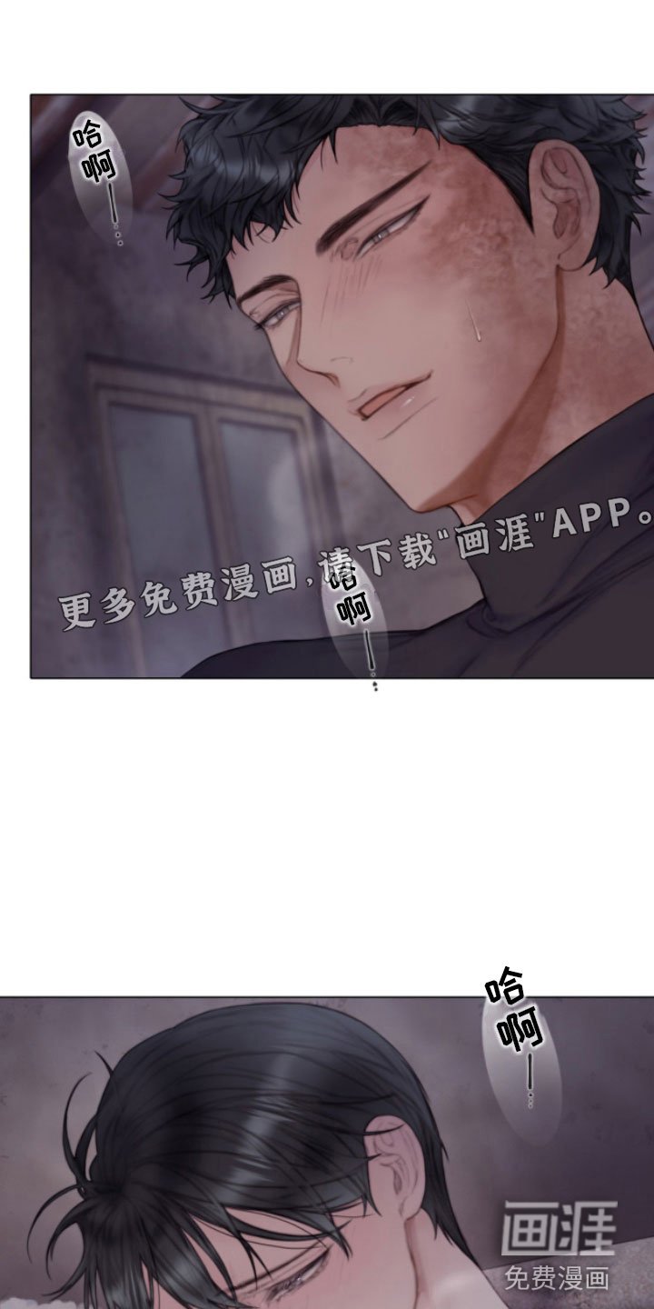 第17章：特别的目的