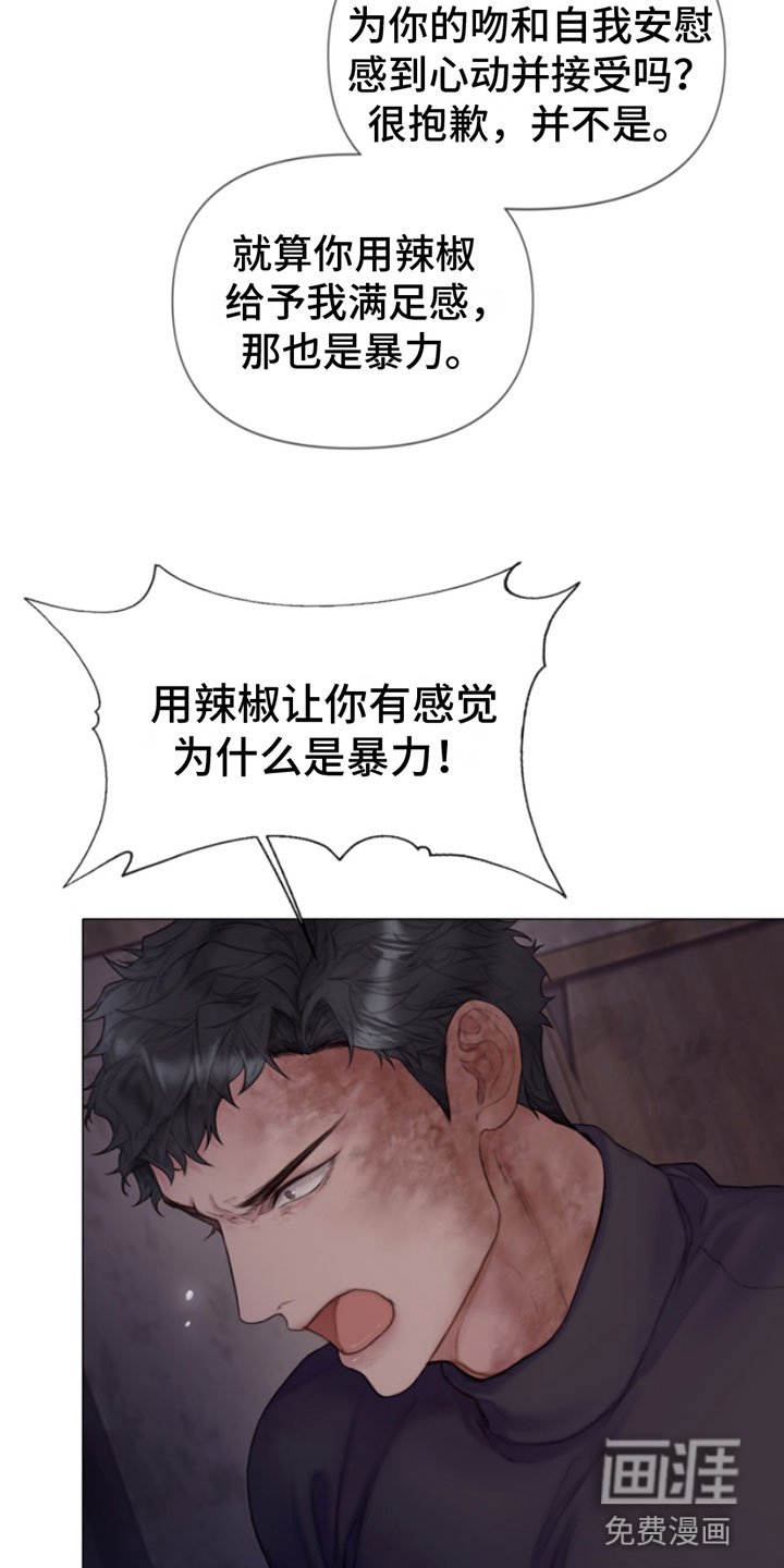 第17章：特别的目的